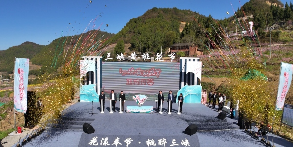 黄桃花节开幕。朱松摄