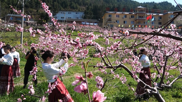 游客和桃花合影。朱松摄