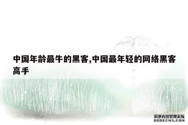 中国年龄最牛的黑客,中国最年轻的网络黑客高手