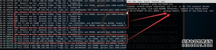 针对国内IP发起攻击的DDoS样本分析