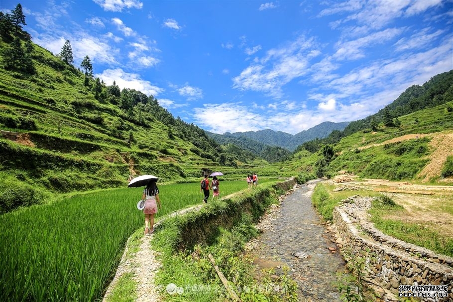 达人分享！雷公黑客教程“夏花依旧”