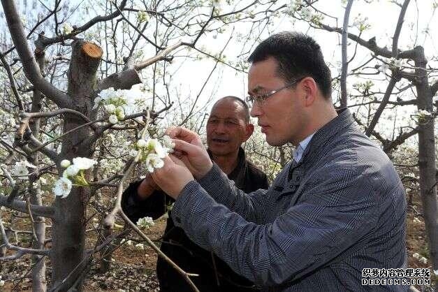 暖心谷昌豪冒雨调研产业扶贫(科技帮扶开花结果)(1)