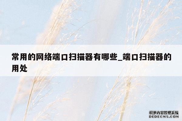 常用的网络端口扫描器有哪些_端口扫描器的用处