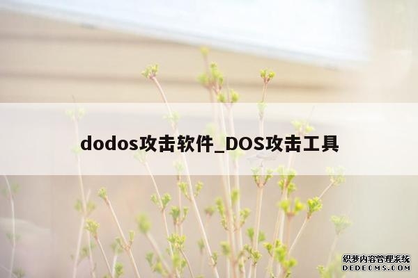 dodos攻击软件_DOS攻击工具
