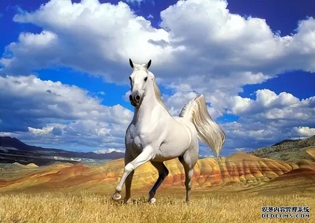 csgo出饰品被劫走（CS:GO知名饰品收藏家遭黑客盗号）(2)