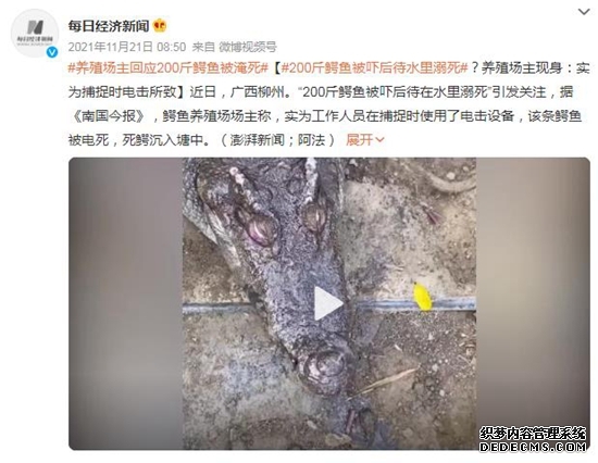 新车贴车膜到底好不好？自己洗车没有洗车液用