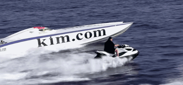 奥巴马和寡姐（两米肥宅靠盗版狂赚1亿5000万美元）(12)