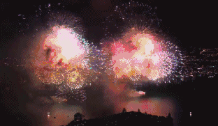 奥巴马和寡姐（两米肥宅靠盗版狂赚1亿5000万美元）(8)