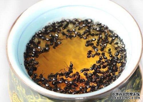风湿关节炎怎么治疗比较好小偏方（治疗风湿性关节炎的4个实用偏方）(1)