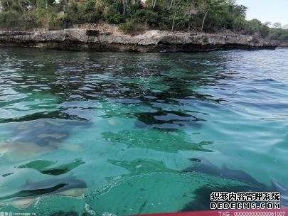 dat是什么文件?dat文件可以删除吗?