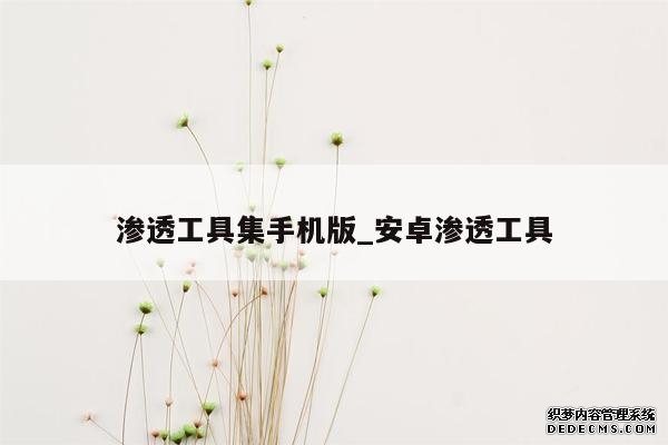 渗透工具集手机版_安卓渗透工具 渗透工具集手机版_安卓渗透工具