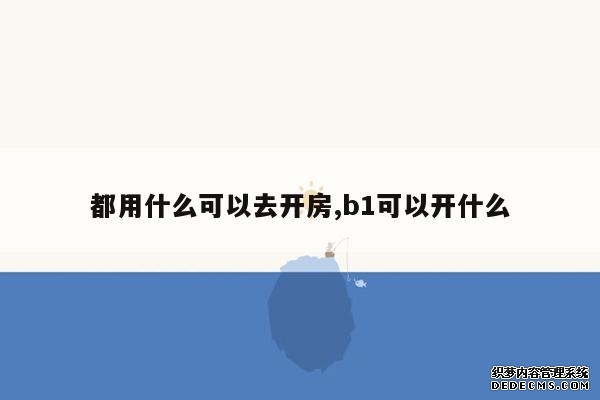 都用什么可以去开房,b1可以开什么 都用什么可以去开房,b1可以开什么