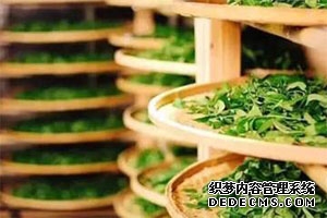 毕业论文成绩评定,各位帮帮忙,我要毕业了论文如题