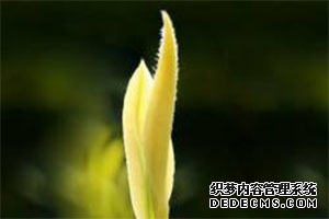 研究农业发展有什么意义?