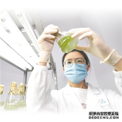 全面推进乡村振兴 加快建设农业强国(人民政协新实践)