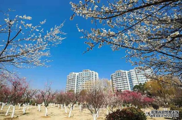 江苏最差一本大学排名(江苏这所大学退步)(8)