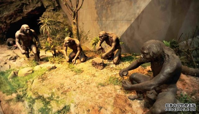 人类的祖先是怎么生活的(我们的祖先真的来自非洲吗)(17)
