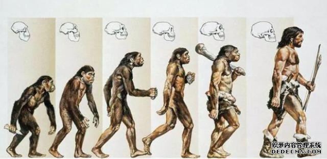 人类的祖先是怎么生活的(我们的祖先真的来自非洲吗)(15)