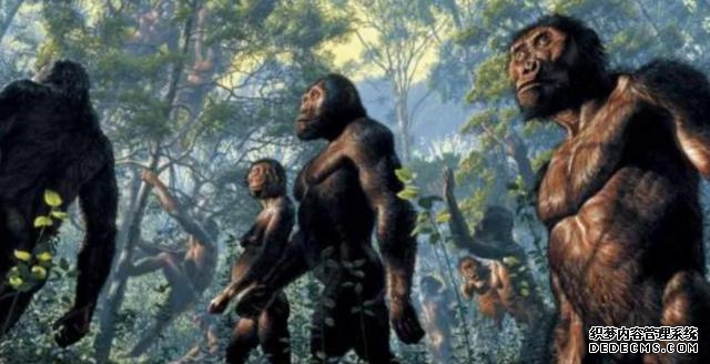 人类的祖先是怎么生活的(我们的祖先真的来自非洲吗)(14)