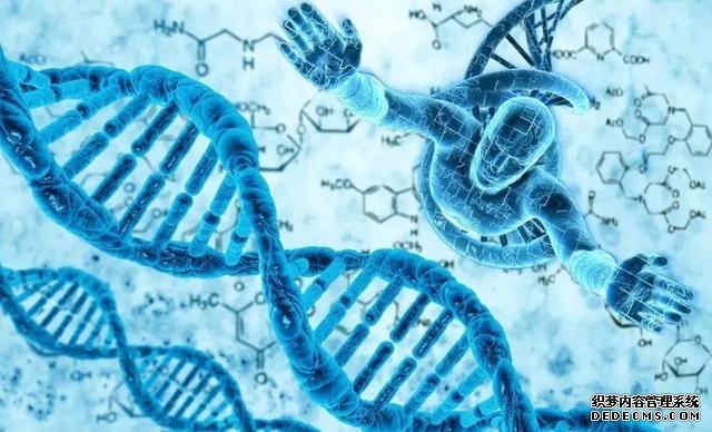 人类的祖先是怎么生活的（我们的祖先真的来自非洲吗）(10)