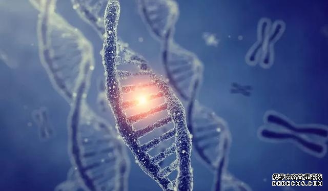 人类的祖先是怎么生活的（我们的祖先真的来自非洲吗）(11)