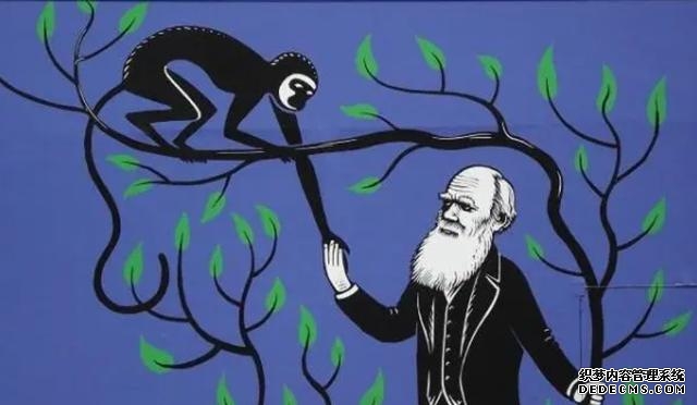 人类的祖先是怎么生活的（我们的祖先真的来自非洲吗）(4)