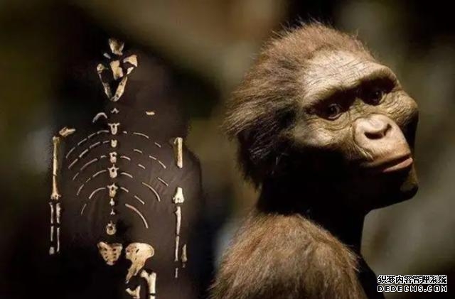 人类的祖先是怎么生活的（我们的祖先真的来自非洲吗）(5)