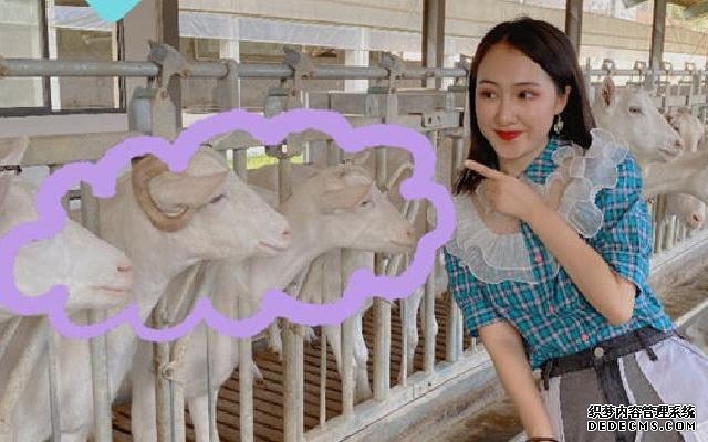 临安昌化金山银山之旅