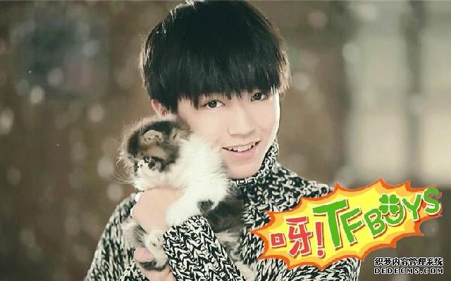 王俊凯过亿身价曝光