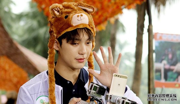 董力出怪招变另类骆驼