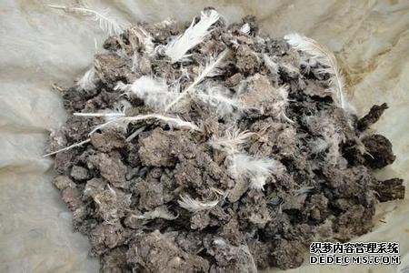 懒人养花用什么肥料（给它施点这种万能肥）(3)