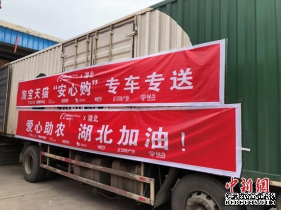 直播帶貨力挺湖北網友：我為湖北胖三斤