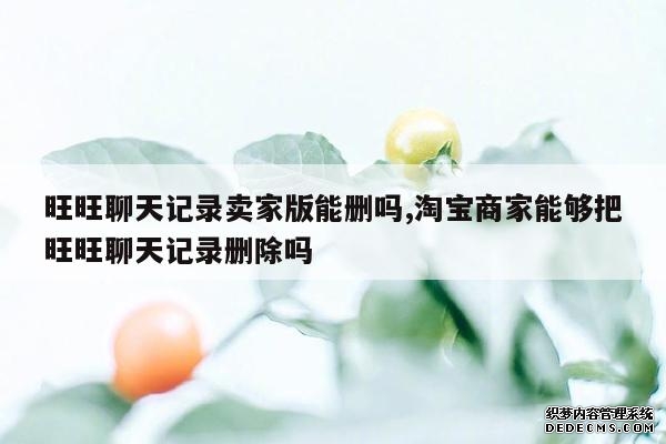 旺旺聊天记录卖家版能删吗,淘宝商家能够把旺旺