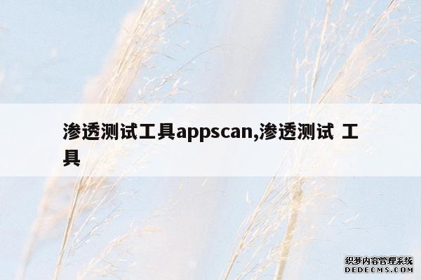 渗透测试工具appscan,渗透测试 工具