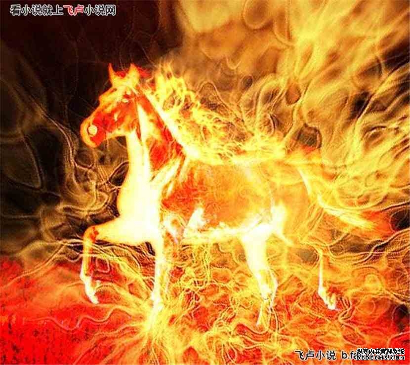 神奇宝贝之黑客系统:第六十三章 最后的角逐—奔跑中的进化图文 神奇宝贝之黑客系统:第六十三章 最后的角逐—奔跑中的进化图文