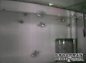 yes黑客联盟论坛