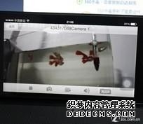 yes黑客联盟论坛