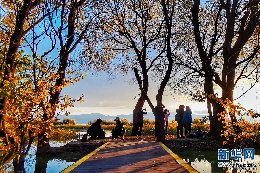 大理“有风”也有你