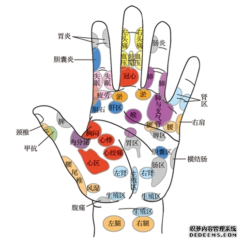 人体手部穴位图（高清详解） 手掌穴位图解大全