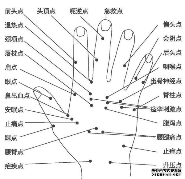 人体手部穴位图（高清详解） 手掌穴位图解大全