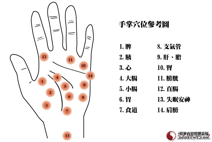 人体手部穴位图（高清详解） 手掌穴位图解大全