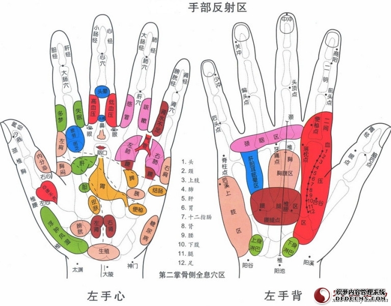 人体手部穴位图（高清详解） 手掌穴位图解大全