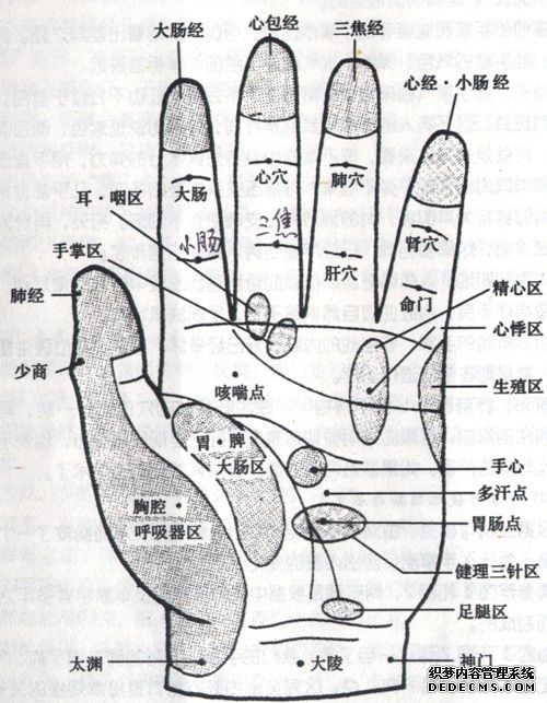 人体手部穴位图（高清详解） 手掌穴位图解大全