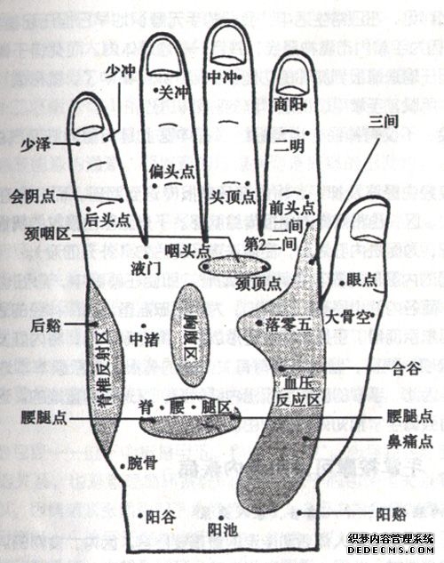 人体手部穴位图（高清详解） 手掌穴位图解大全