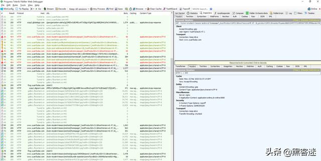 黑客常用工具推荐（包括系统和网络安全）(16)