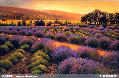 黑客教你查询某人信息(黑客怎么查别人手机上的