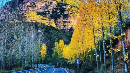 黑客网站免费找微信号,黑客查他人微信聊天记录吗,微信密码丢了找一个