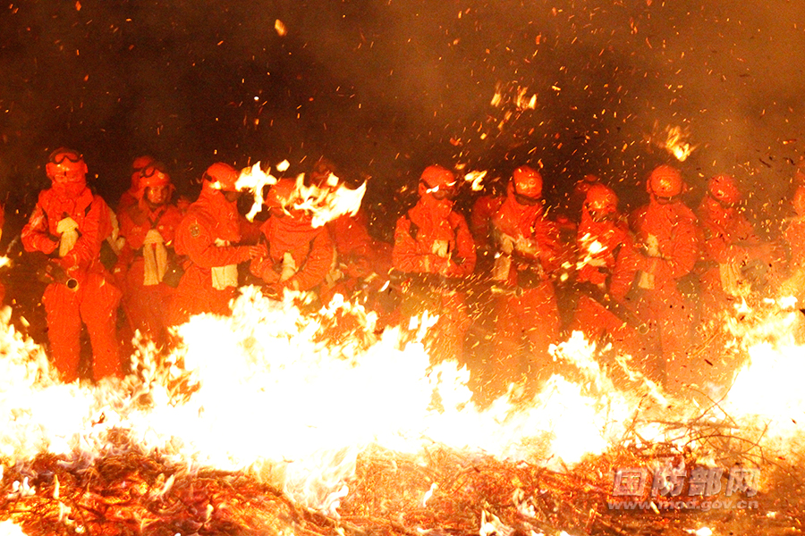 武警森林部队转制,他们回答就是四个字:坚决