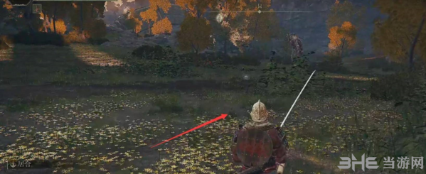 艾尔登法环图片图片6