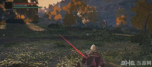 艾尔登法环图片图片8